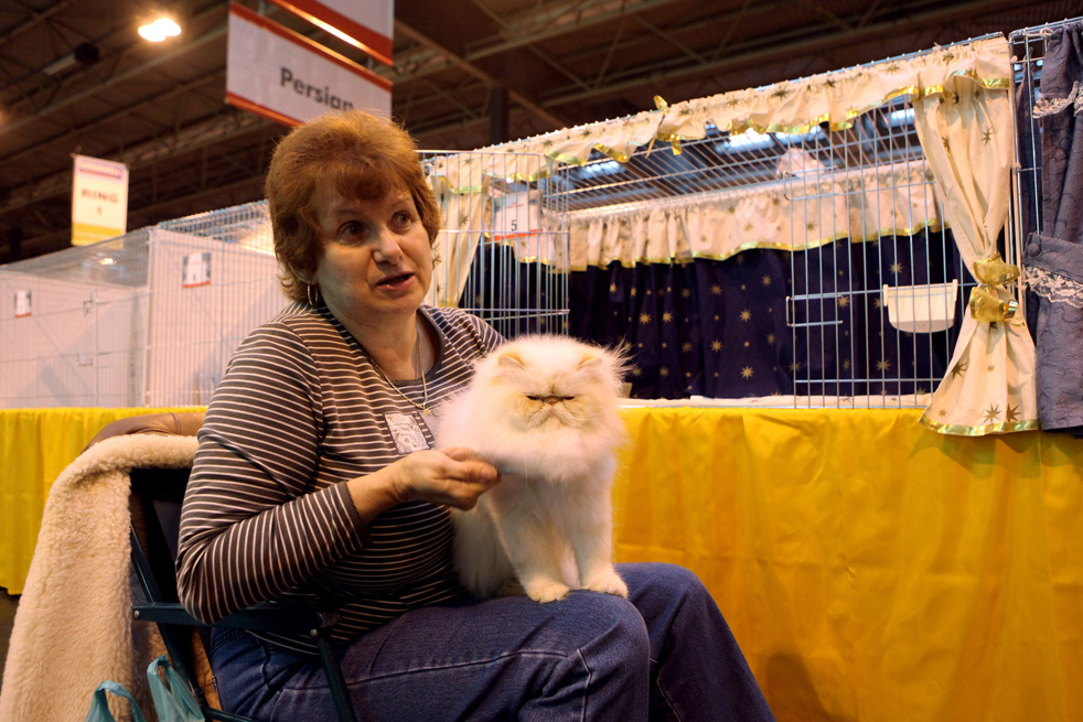 cat_show_10.jpg