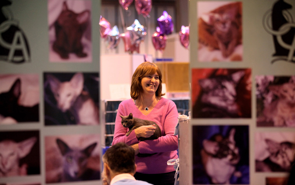 cat_show_15.jpg