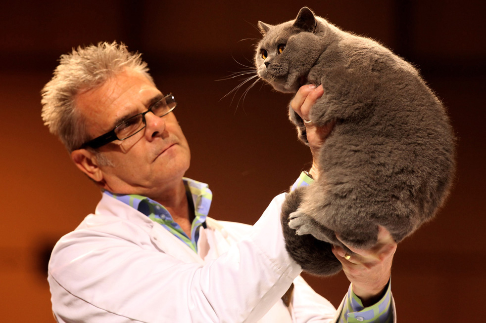 cat_show_23.jpg