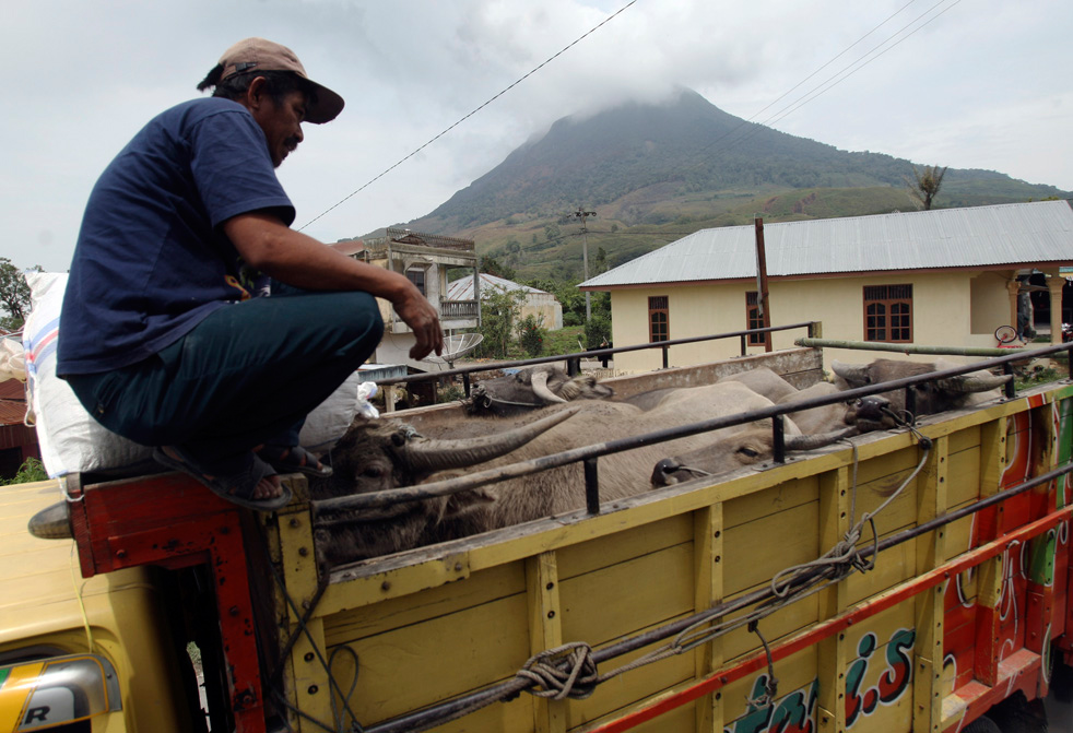 sinabung_23.jpg