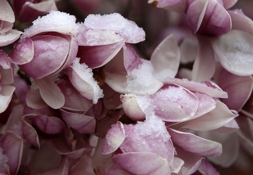 spring_storms_06.jpg