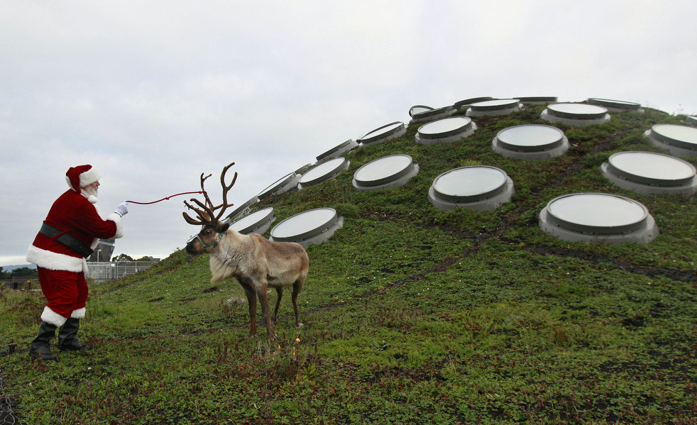 santa_claus_2011_13.jpg