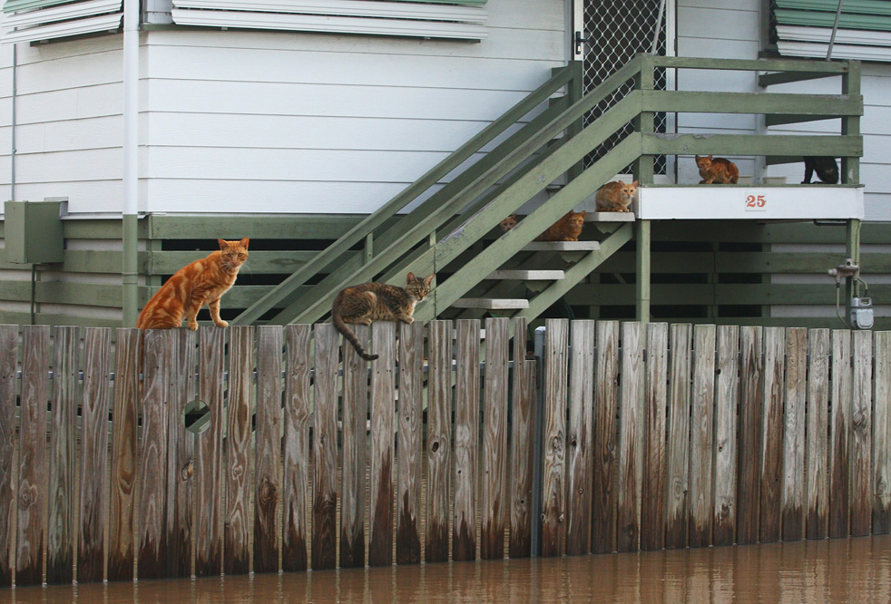australia_flood_16.jpg