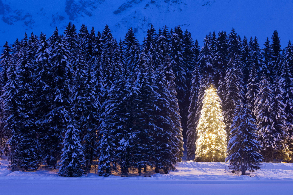lights13.jpg