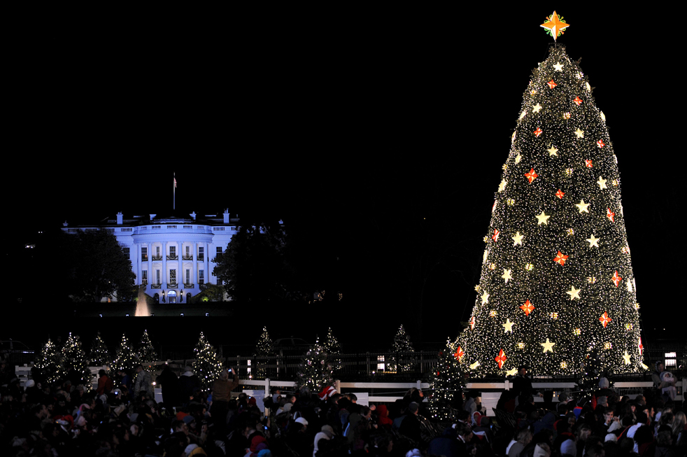 lights26.jpg