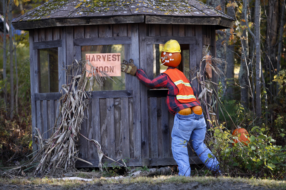hween14.jpg
