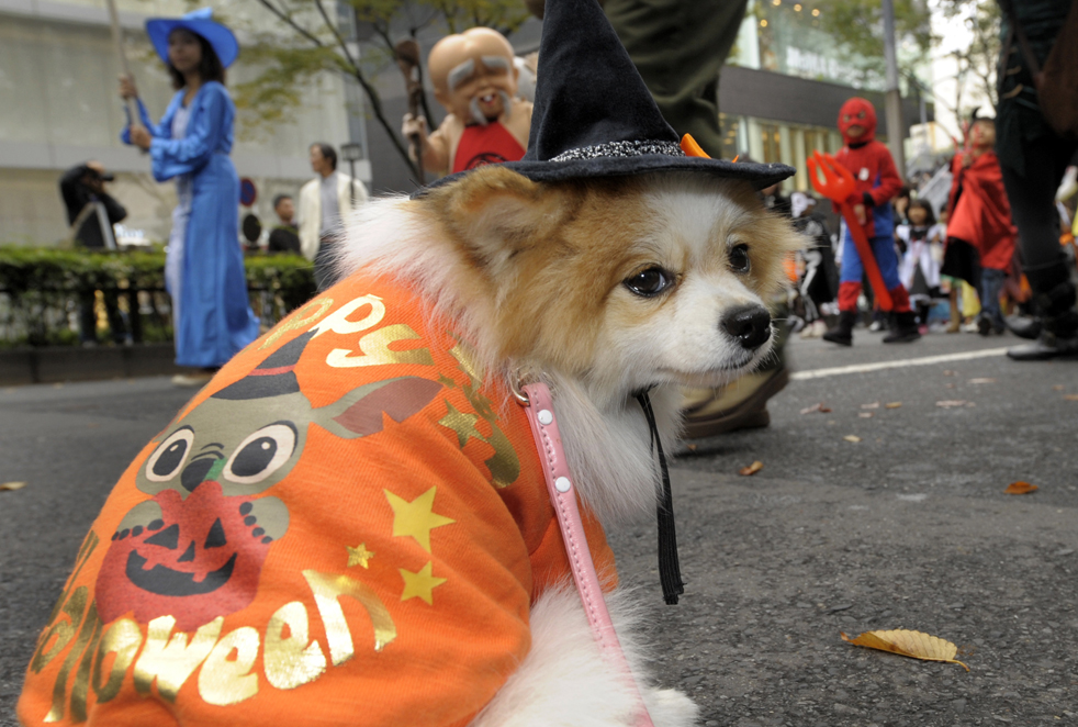 hween15.jpg